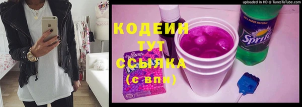 трава Лабытнанги