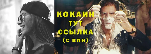 дурь Ладушкин