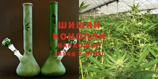 прущие грибы Лагань