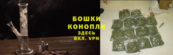 прущие грибы Лагань