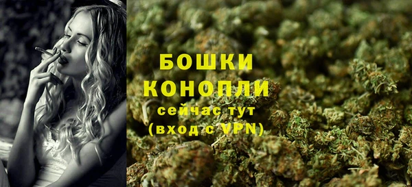 трава Лабытнанги
