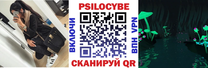 Галлюциногенные грибы Psilocybine cubensis  купить наркоту  Чердынь 